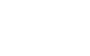 UMFS logo